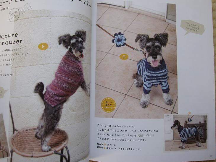 DOG Clothes for All Seasons